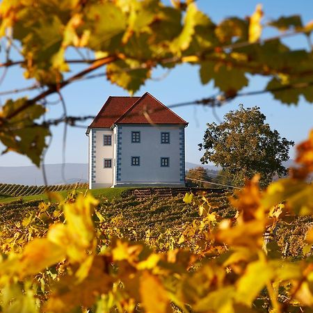 Wine Grower'S Mansion Zlati Gric Apartment Slovenske Konjice Exterior foto