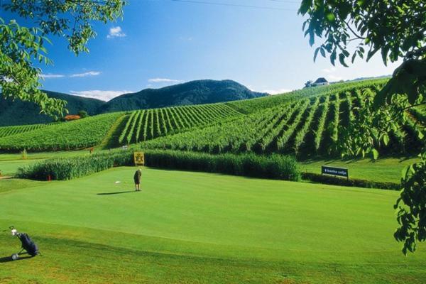 Wine Grower'S Mansion Zlati Gric Apartment Slovenske Konjice Exterior foto