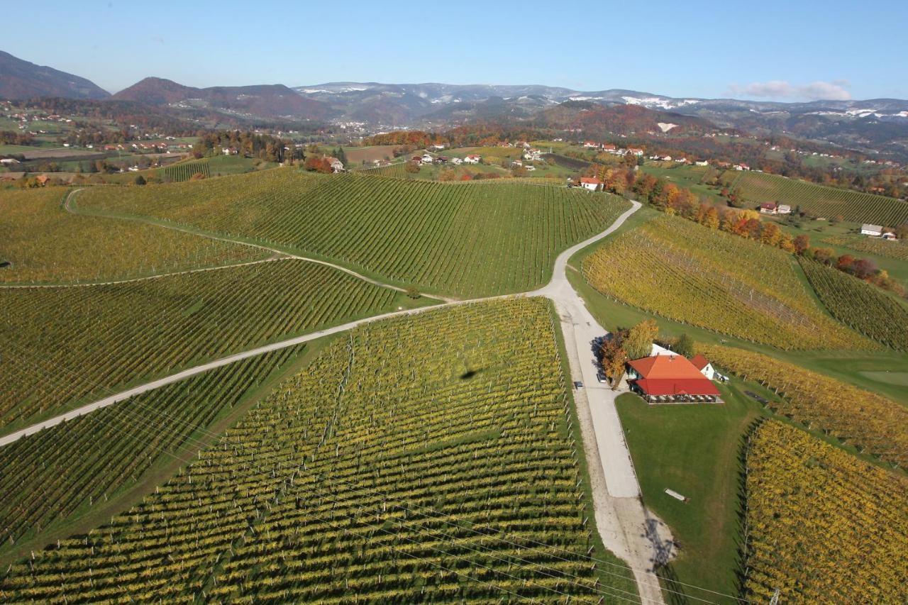 Wine Grower'S Mansion Zlati Gric Apartment Slovenske Konjice Exterior foto