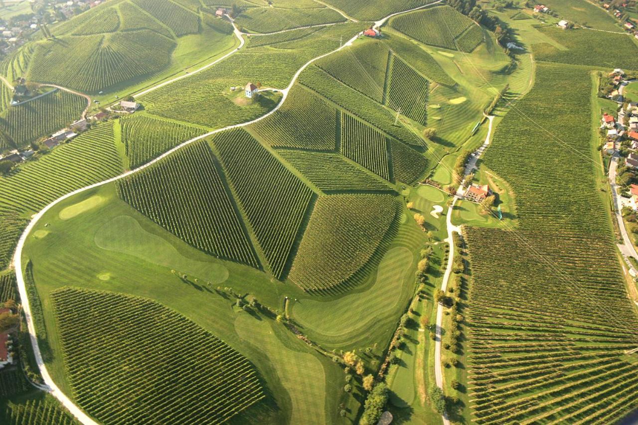 Wine Grower'S Mansion Zlati Gric Apartment Slovenske Konjice Exterior foto