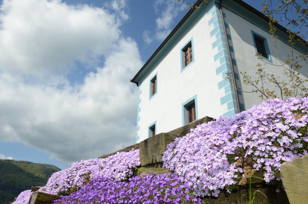 Wine Grower'S Mansion Zlati Gric Apartment Slovenske Konjice Exterior foto