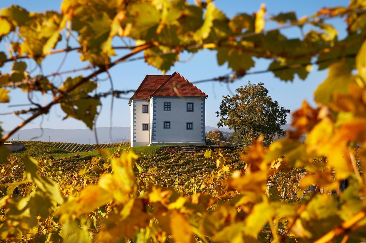 Wine Grower'S Mansion Zlati Gric Apartment Slovenske Konjice Exterior foto