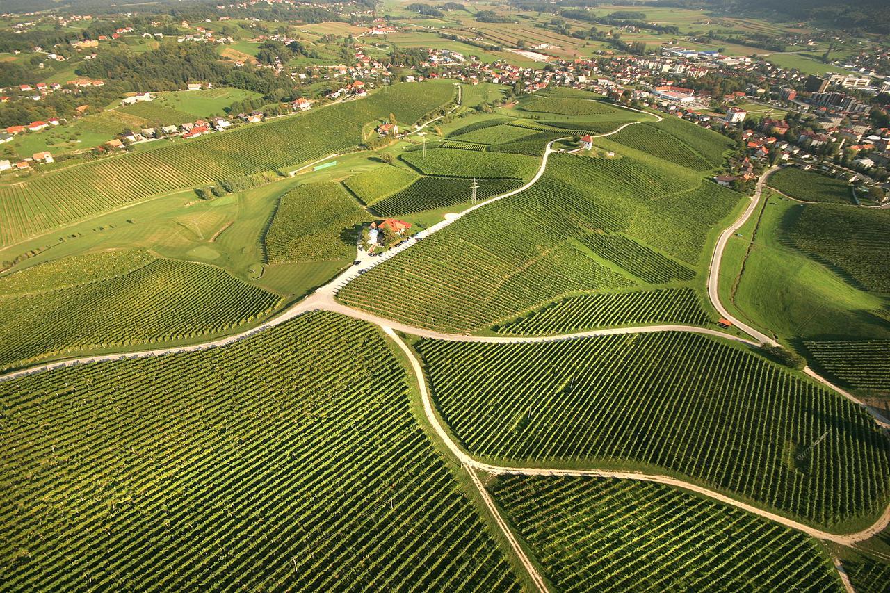 Wine Grower'S Mansion Zlati Gric Apartment Slovenske Konjice Exterior foto