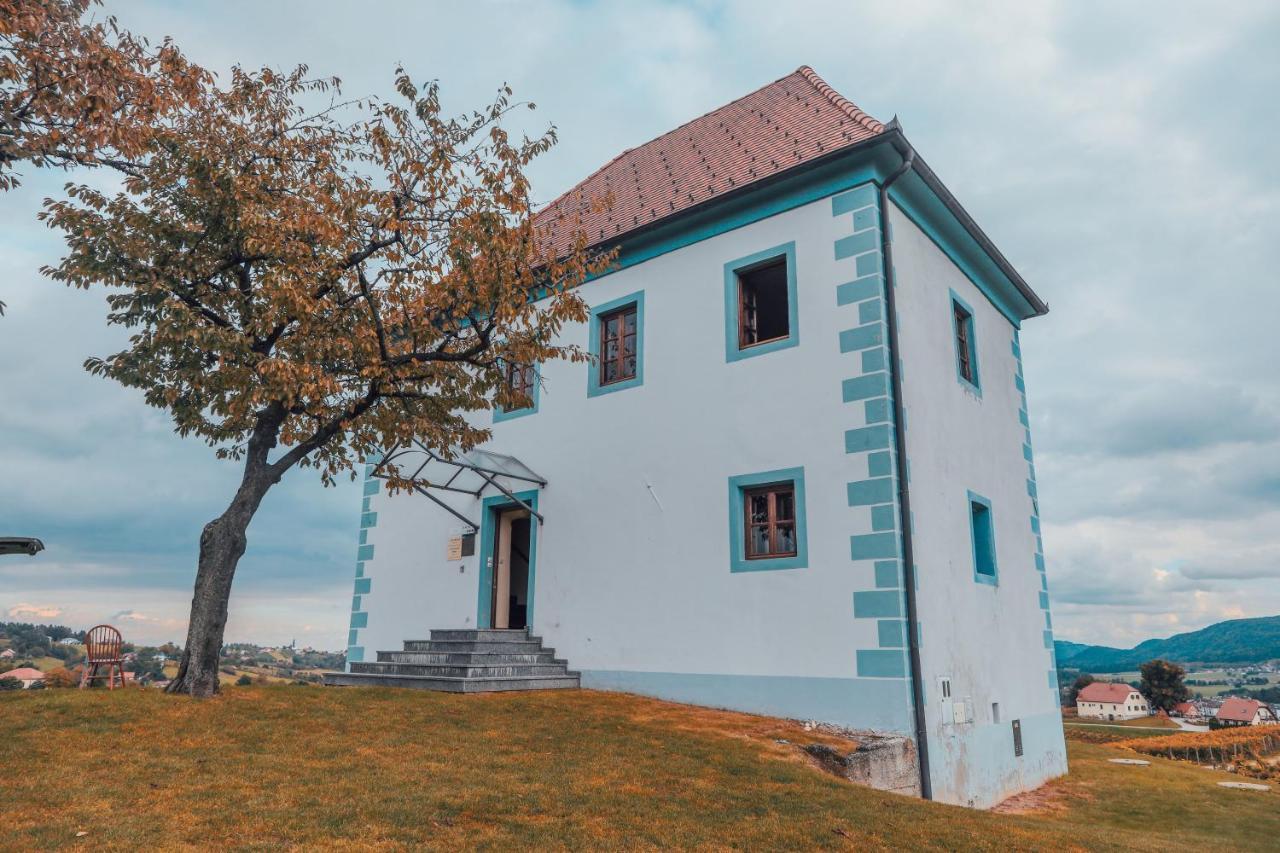 Wine Grower'S Mansion Zlati Gric Apartment Slovenske Konjice Exterior foto