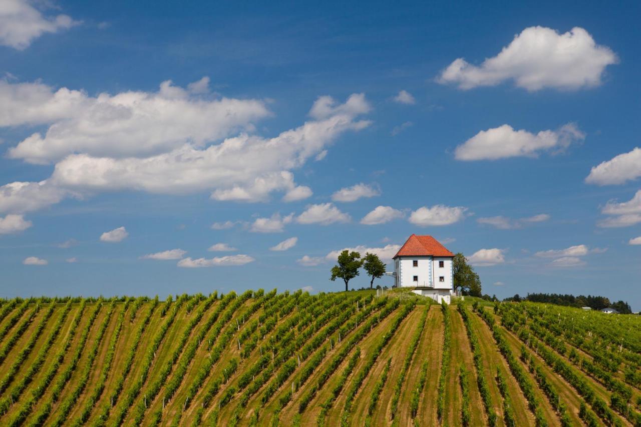 Wine Grower'S Mansion Zlati Gric Apartment Slovenske Konjice Exterior foto